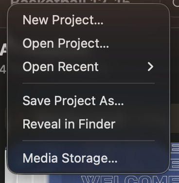 The project menu, opened from the project name in the toolbar